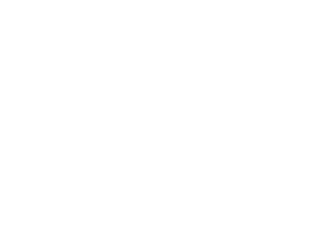 Park Tavern Logo